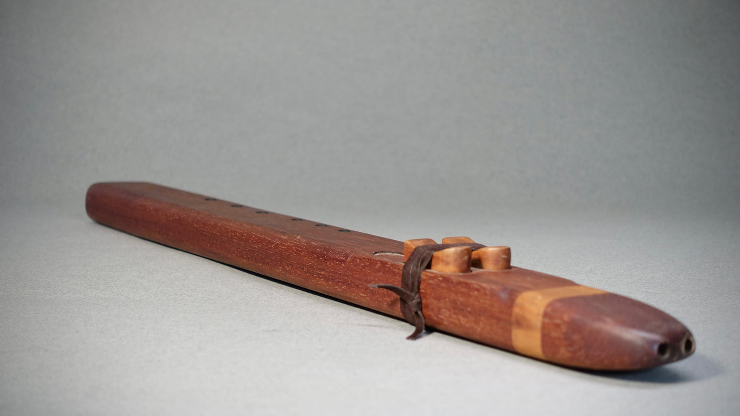 Flûte Native Amérindienne Double Parallèle