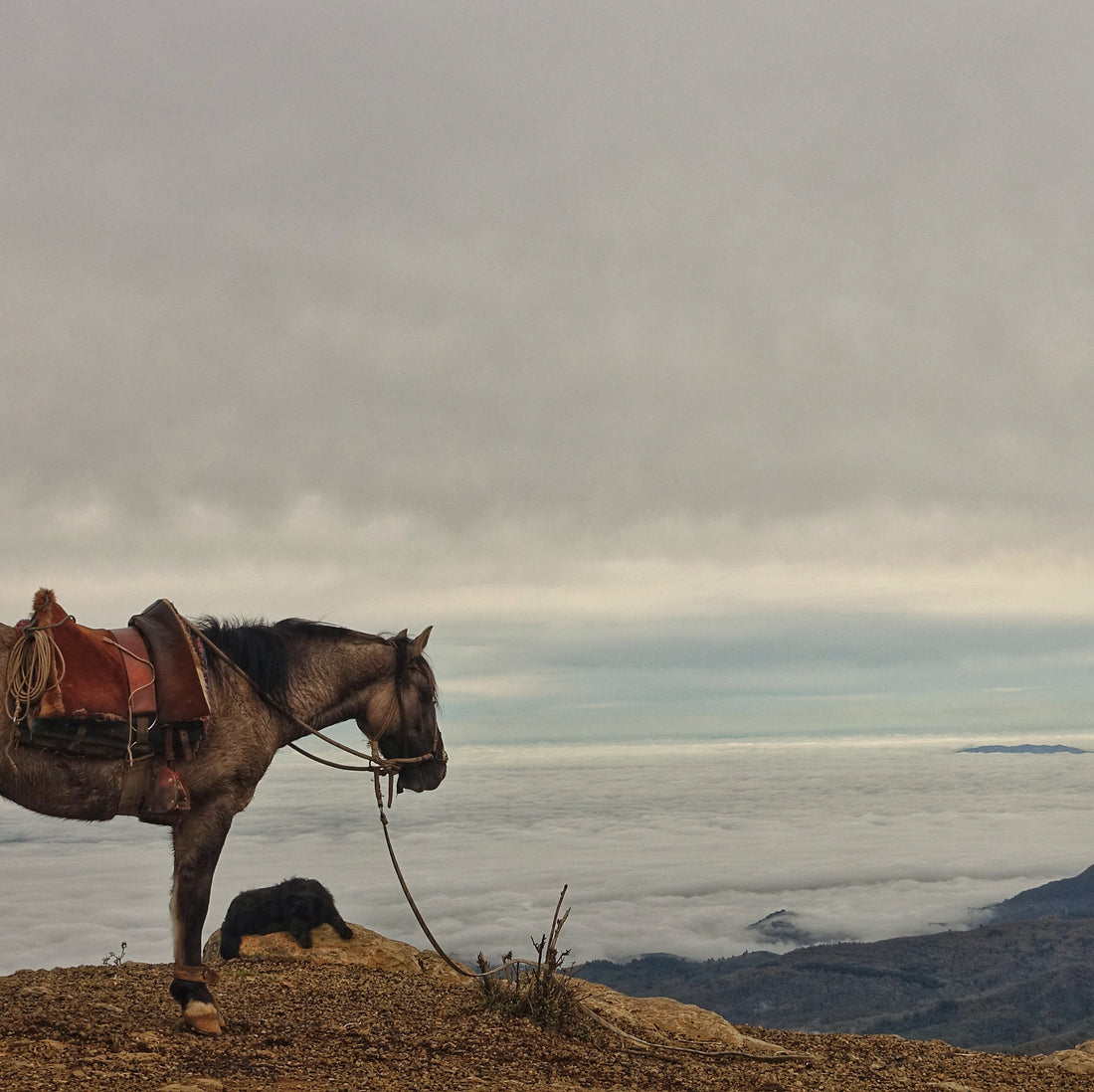 Sonothérapie dans la cordillère des Andes